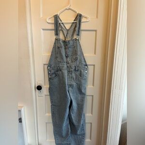 We The Free Ziggy Denim Overalls
